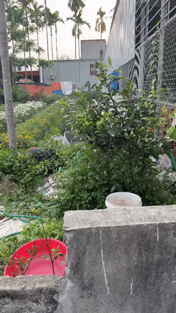 Mua bán Đất Huyện An Dương Hải Phòng diện tích 100 m² giá 1,55 tỷ