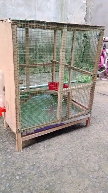 Lồng chim gỗ lưới thép 50x50x50x50 nuôi sinh sản. Mua bán Chim tại Quận 12 Tp Hồ Chí Minh được đăng bởi thanh thanh  hình 1