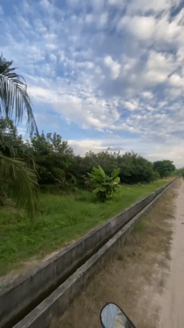 Mua bán Đất Huyện Hòa Thành Tây Ninh diện tích 3000 m² giá 2,1 tỷ