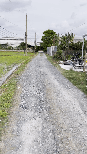 Mua bán Đất Huyện Tân Trụ Long An diện tích 110 m² giá 385 triệu