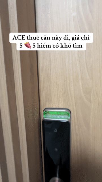 Cho thuê Căn hộ Chung cư Legacy Central Thành phố Thuận An Bình Dương diện tích 42 m² giá 5 triệu/tháng