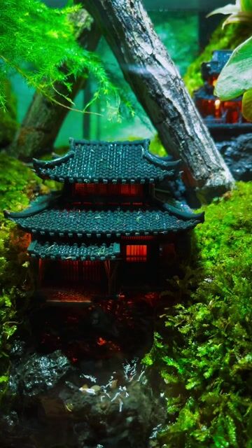 Tiểu cảnh Terrarium Đế đèn, đèn, thác nước. Mua bán Cây cảnh, đồ trang trí tại Thành phố Pleiku Gia Lai được đăng bởi Nguyễn Huy Hoàng hình 1