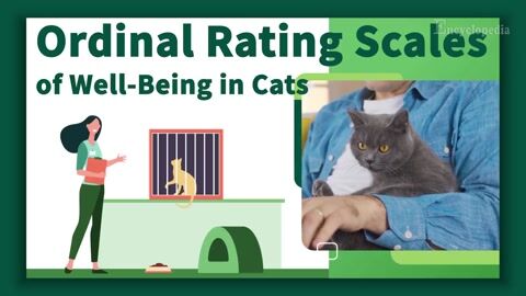 Encyclopedia-Ordinal Rating Scales to Monitor Behavioural Indicators of Well-Being in Cats