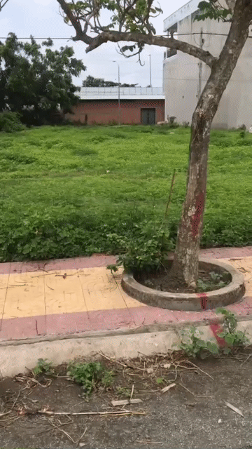 Mua bán Đất Khu dân cư Long Thạnh Hưng Huyện Chợ Gạo Tiền Giang diện tích 127 m² giá 820 triệu