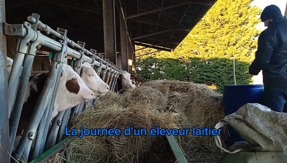 la journée d'un éleveur laitier