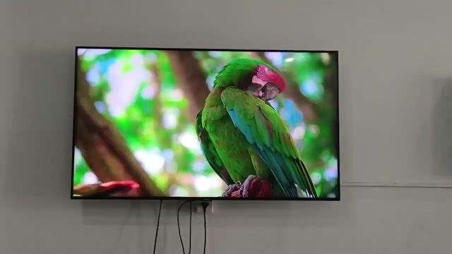 Tivi QLED 50 inch đã dùng. Mua bán Tivi, Âm thanh tại Quận Bình Tân Tp Hồ Chí Minh được đăng bởi Thần Hủy Diệt Panel hình 1