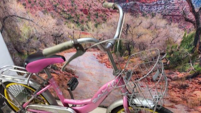 Xe mini hồng 20 inch Window. Mua bán Xe đạp tại Quận Tân Bình Tp Hồ Chí Minh được đăng bởi Bbb hình 1