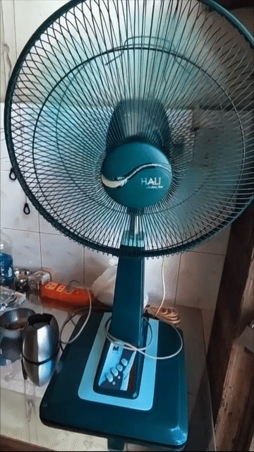 Quạt đứng Hali Xanh đậm Còn mới. Mua bán Quạt tại Quận 5 Tp Hồ Chí Minh được đăng bởi văn hình 1
