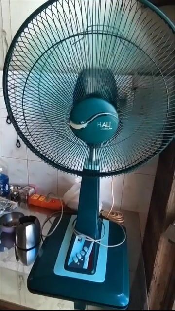 Quạt đứng Hali Xanh đậm Còn mới. Mua bán Quạt tại Quận 5 Tp Hồ Chí Minh được đăng bởi văn hình 1