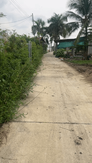 Mua bán Đất Huyện Tân Trụ Long An diện tích 110 m² giá 330 triệu