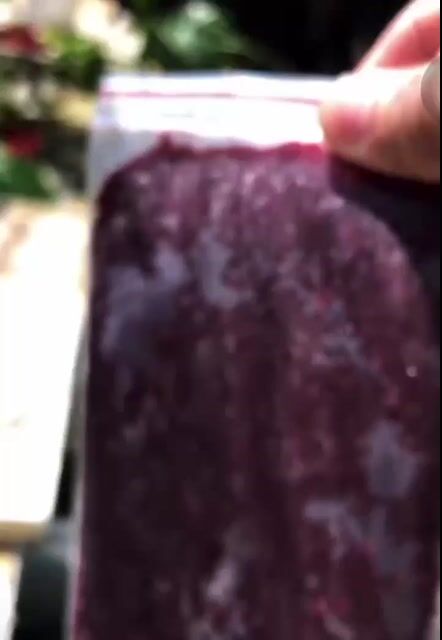 Trùn huyết tươi cấp đông. Mua bán Phụ kiện, Thức ăn, Dịch vụ tại Quận Phú Nhuận Tp Hồ Chí Minh được đăng bởi Phan thiên phước hình 1