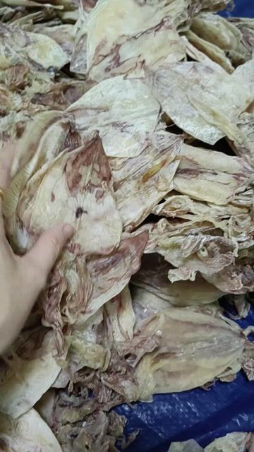 Mực khô 70-80 con/kg ngọt. Mua bán Đồ ăn, thực phẩm và các loại khác tại Quận Cẩm Lệ Đà Nẵng được đăng bởi Đoàn thị Kiêm Hiếu hình 1