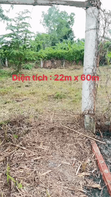 Mua bán Đất Quận Cái Răng Cần Thơ diện tích 1300 m² giá 1,8 tỷ