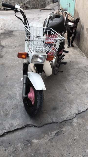 chaly kg có đề. Mua bán Xe máy tại Huyện Nhà Bè Tp Hồ Chí Minh được đăng bởi LÊ VĂN GIÀU hình 1