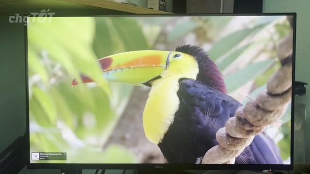 Dell P2425D 24 inch 2K Like New BH 3 năm. Mua bán Phụ kiện (Màn hình, Chuột...) tại Quận Bình Tân Tp Hồ Chí Minh được đăng bởi Dương Hoài Phương hình 1