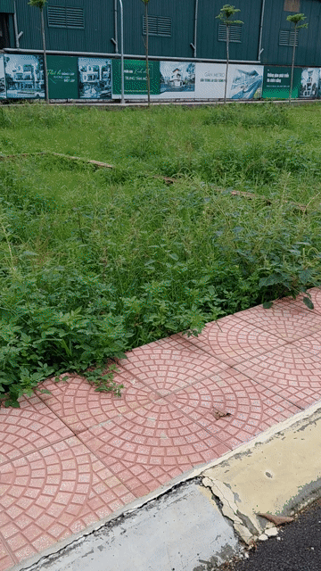 Mua bán Đất Thị xã Sơn Tây Hà Nội diện tích 100 m² giá 2,5 tỷ