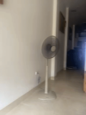 Cho thuê Đất Huyện Thanh Trì Hà Nội diện tích 89.5998 m² giá 15 triệu/tháng