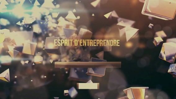 Esprit d'entreprendre