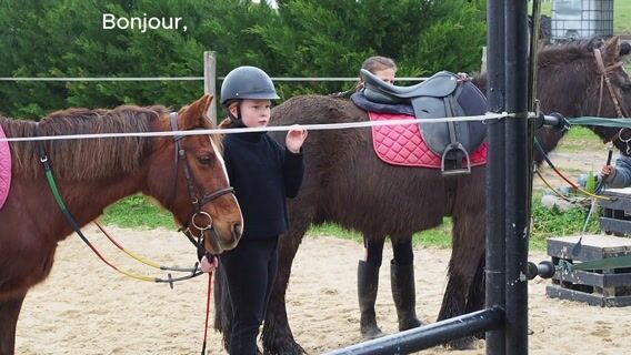Monitrice d'équitation