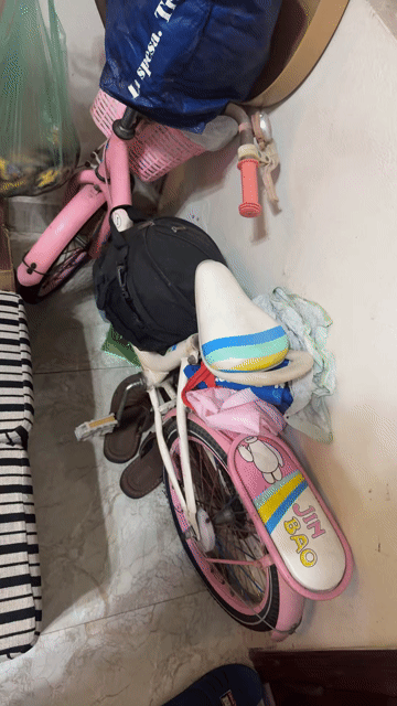 Xe đạp trẻ em Jin Bao Hồng Bé. Mua bán Mẹ và bé tại Quận Hai Bà Trưng Hà Nội được đăng bởi Anh Kiên hình 1