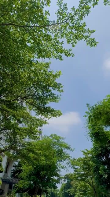 Hyundai Santa Fe Premium 2.2D Htrac 4x4 2019. Mua bán Ô tô tại Quận Cầu Giấy Hà Nội được đăng bởi Hùng Eco Auto hình 1