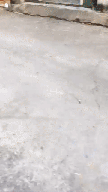 Cho thuê Nhà ở Thành phố Thủ Đức Tp Hồ Chí Minh diện tích 128 m² giá 14 triệu/tháng