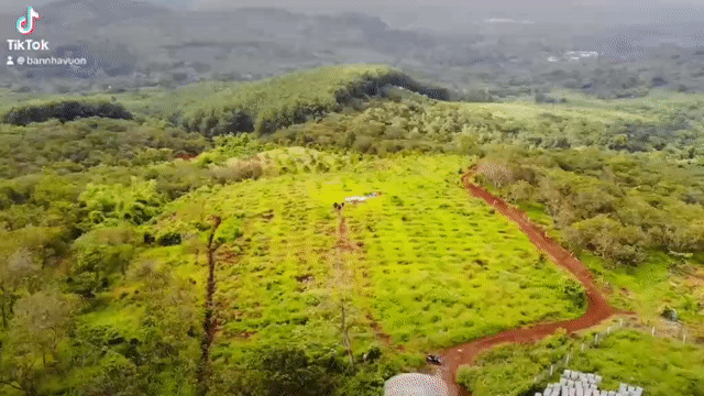 Mua bán Đất Huyện Đắk R'Lấp Đắk Nông diện tích 11000 m² giá 2,5 tỷ