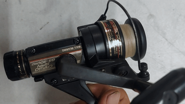 Máy câu cá Daiwa Carbo Spin GS800RD. Mua bán Đồ thể thao, Dã ngoại tại Quận 10 Tp Hồ Chí Minh được đăng bởi Lee Bush hình 1