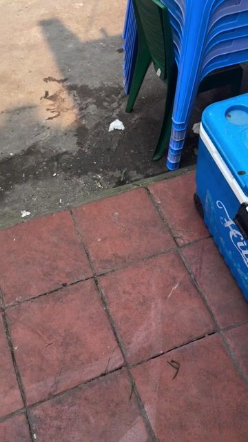 Đồ dùng nhà bếp Nhựa, Kim loại. Mua bán Dụng cụ nhà bếp tại Quận Hoàng Mai Hà Nội được đăng bởi Phạm Duy Vịnh hình 1