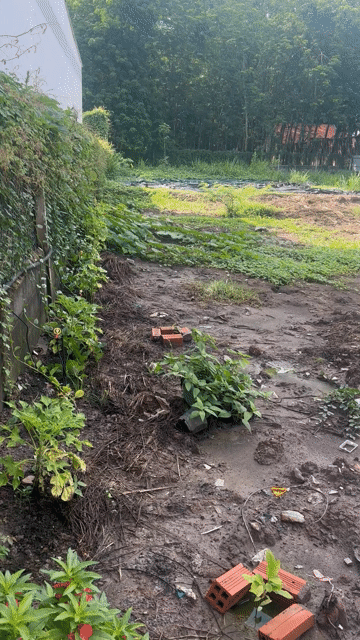 Mua bán Đất Huyện Củ Chi Tp Hồ Chí Minh diện tích 1000 m² giá 9 tỷ