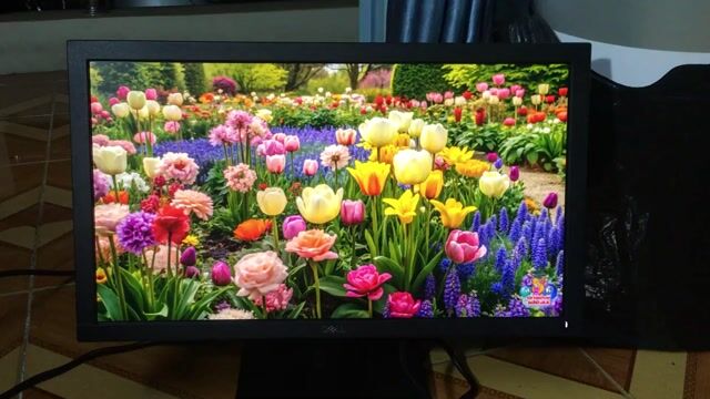 DELL E2020H màn Zin 20 inch cực đẹp. Mua bán Phụ kiện (Màn hình, Chuột...) tại Quận Bình Thạnh Tp Hồ Chí Minh được đăng bởi Võ Quốc Phòng hình 1