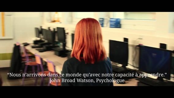 Des cours au parfum de miel