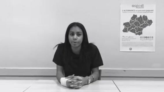 Réussir en DIMA (Dispositif d'Initiation aux Métiers par Alternance)