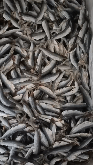 Khô cá chuồn mít. Mua bán Đồ ăn, thực phẩm và các loại khác tại Quận Cẩm Lệ Đà Nẵng được đăng bởi Đoàn thị Kiêm Hiếu hình 1