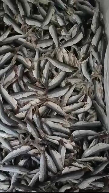 Khô cá chuồn mít. Mua bán Đồ ăn, thực phẩm và các loại khác tại Quận Cẩm Lệ Đà Nẵng được đăng bởi Đoàn thị Kiêm Hiếu hình 1