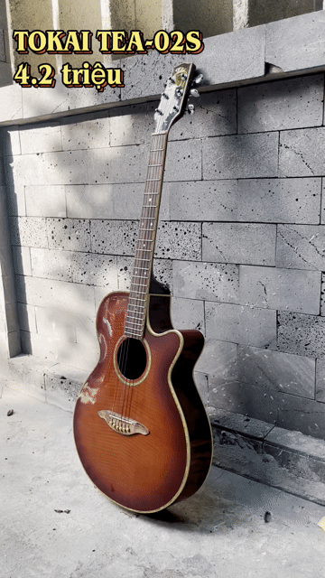 Đàn guitar acoustic Tokai TEA-02S Đỏ nâu Nhật Bản. Mua bán Nhạc cụ tại Quận Cẩm Lệ Đà Nẵng được đăng bởi Đặng Minh Hiền hình 1