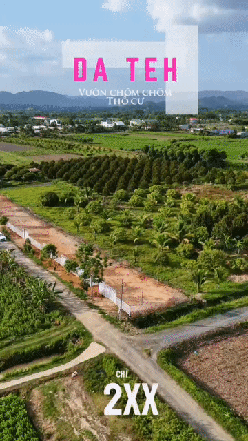 Mua bán Đất Huyện Đạ Tẻh Lâm Đồng diện tích 212 m² giá 279 triệu