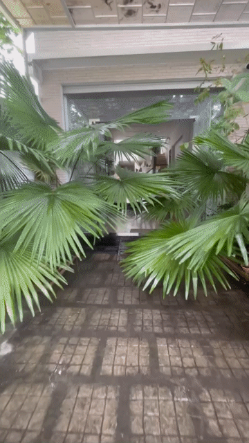 Cho thuê Nhà ở Thành phố Thủ Đức Tp Hồ Chí Minh diện tích 180 m² giá 15 triệu/tháng