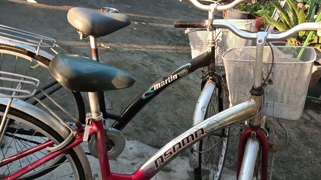 Xe đạp. Mua bán Xe đạp tại Huyện Bình Chánh Tp Hồ Chí Minh được đăng bởi Cao Đắc Lợi hình 1