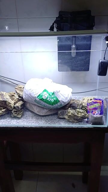 Hồ thủy sinh Kính 60x30x40cm. Mua bán Phụ kiện, Thức ăn, Dịch vụ tại Huyện Bến Cầu Tây Ninh được đăng bởi Nguyên trường Vững hình 1