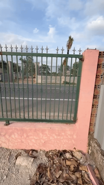 Cho thuê Đất Thành phố Thủ Đức Tp Hồ Chí Minh diện tích 1000 m² giá 20 triệu/tháng