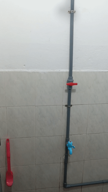 Cho thuê Phòng trọ Thành phố Dĩ An Bình Dương diện tích 20 m² giá 1,2 triệu/tháng