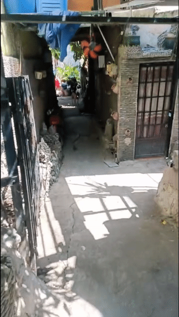 Cho thuê Phòng trọ Quận 8 Tp Hồ Chí Minh diện tích 20 m² giá 1,2 triệu/tháng
