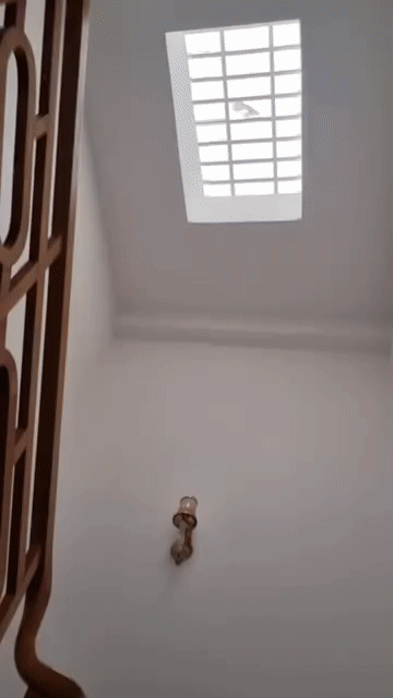 Cho thuê Phòng trọ Quận Gò Vấp Tp Hồ Chí Minh diện tích 20 m² giá 3 triệu/tháng