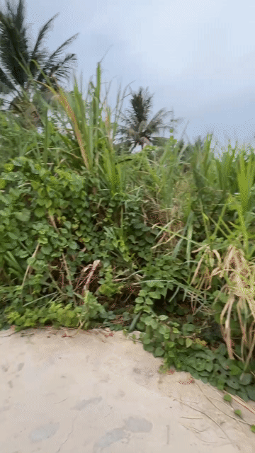 Mua bán Đất Thành phố Phan Rang-Tháp Chàm Ninh Thuận diện tích 1033 m² giá 1,7 tỷ