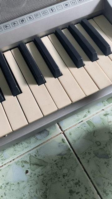 Đàn Organ Xám Đã sử dụng. Mua bán Nhạc cụ tại Huyện Nhà Bè Tp Hồ Chí Minh được đăng bởi Mua Bán Đồ Cũ TPHCM 8668 hình 1