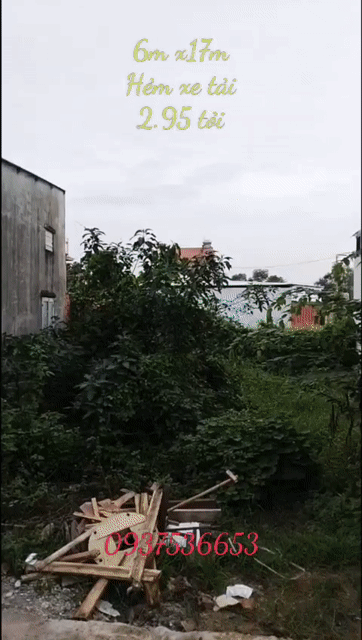 Mua bán Đất Huyện Hóc Môn Tp Hồ Chí Minh diện tích 100.3 m² giá 2,75 tỷ