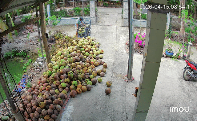 Camera an ninh Imou Trắng. Mua bán Máy ảnh, Máy quay tại Thành phố Bến Tre Bến Tre được đăng bởi Tạp Hóa Online hình 1