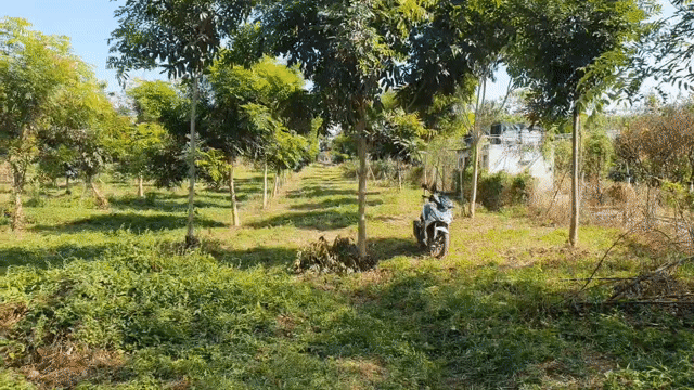 Mua bán Đất Huyện Vĩnh Cửu Đồng Nai diện tích 3500 m² giá 5 tỷ