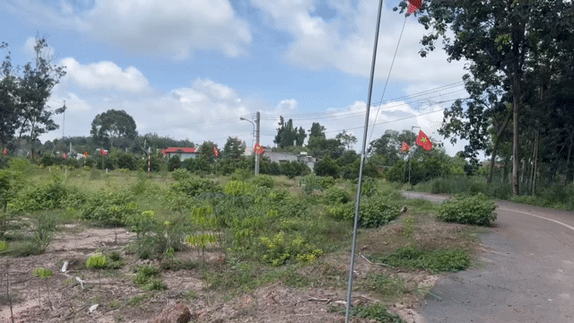 Mua bán Đất Huyện Phú Giáo Bình Dương diện tích 424 m² giá 580 triệu